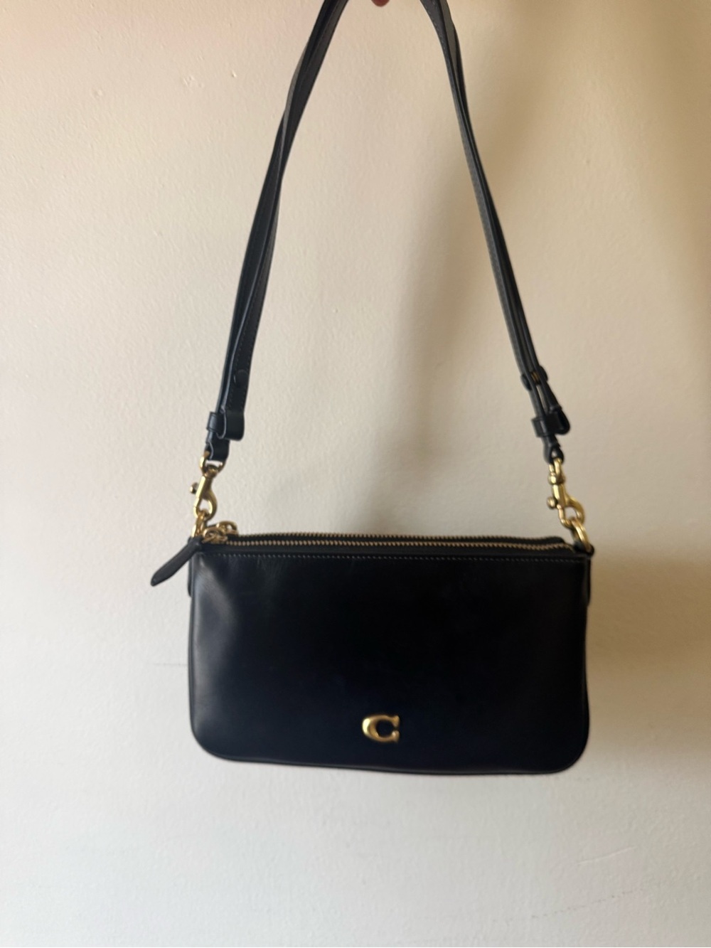 Audrey Crossbody Coach Bag
